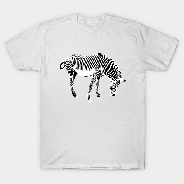 Zebra T-Shirt by Shyflyer